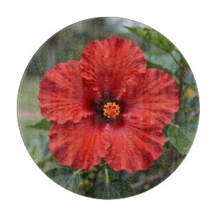 Planche À Découper Hibiscus Tropical Rouge Vibrant en Fleur
