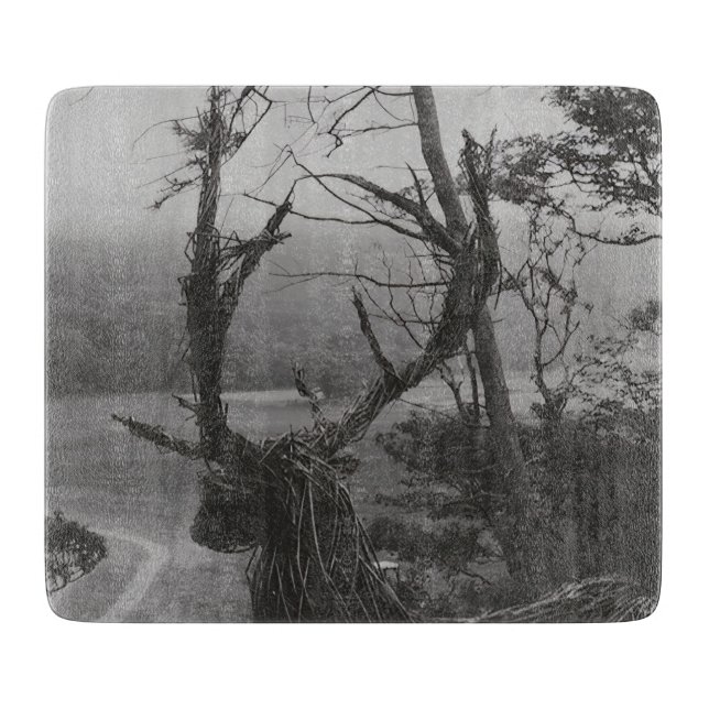 Planche À Découper Île de Mull, Hébrides intérieures, Écosse (Devant)