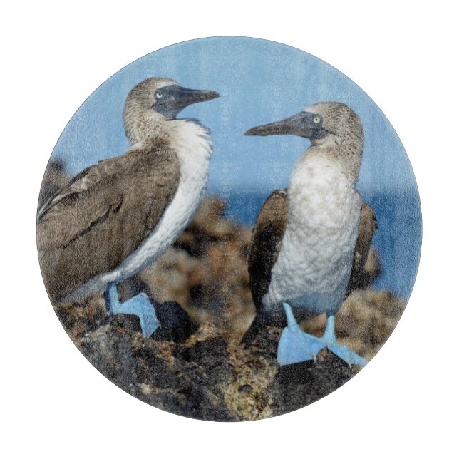 Planche À Découper Îles Galapagos, île Isabela (Devant)