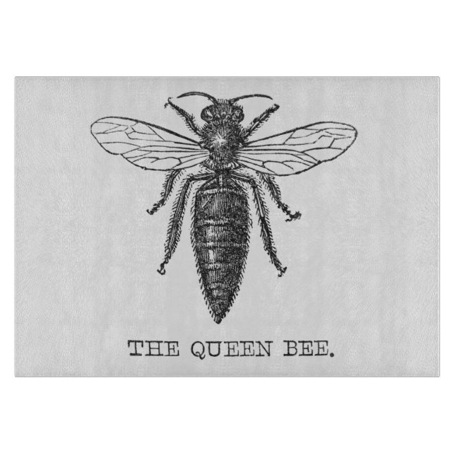 Planche À Découper Illustration Antique d'Insecte de Bourdon Reine Ab (Devant)