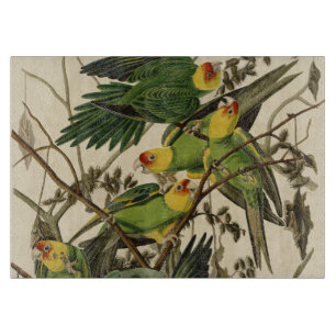 Planche À Découper Illustration Audubon Carolina Parrot Bird