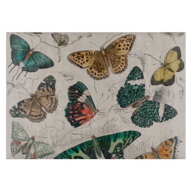 Planche À Découper Illustration de papillon antique : 1820 Orfèvre (Devant)