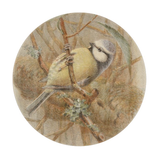 Planche À Découper Illustration vintage de mésange bleue (Devant)