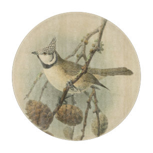 Planche À Découper Illustration vintage de mésange huppée européenne