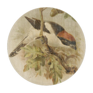 Planche À Découper Illustration vintage de Pie-grièche d'été