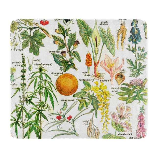 Planche À Découper Illustrations botaniques  (Devant)