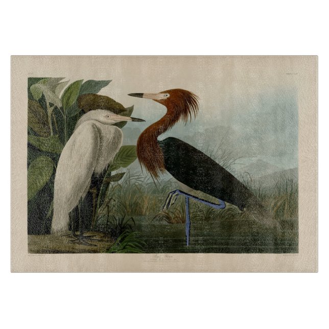 Planche À Découper Impression de Héron Pourpré d'Audubon : Art d'Oise (Devant)