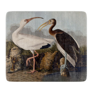 Planche À Découper Impression d'oiseau Ibis blanc de John James Audub
