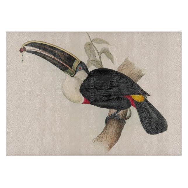 Planche À Découper Impression du Toucan de Cuvier : Oiseau Tropical V (Devant)