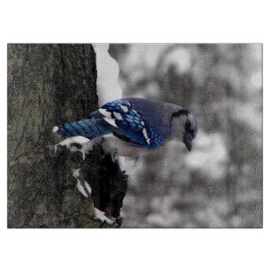 Planche À Découper Jay bleu hiver