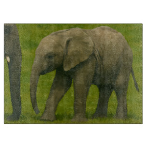 Planche À Découper Jeune éléphant avec tuteur dans la réserve de Gras
