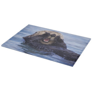 Planche À Découper Jolie loutre de mer   Alaska, États-Unis