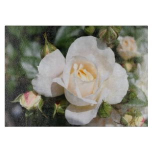 Planche À Découper jolies fleurs de rose blanches pures. botanique fl