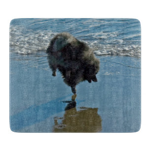 Planche À Découper Keeshond Ballet Photographie - Joli chien d'origin