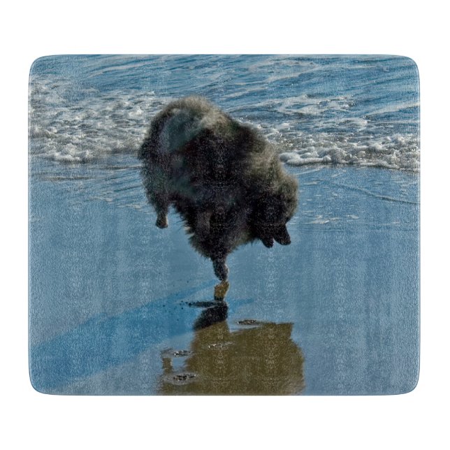 Planche À Découper Keeshond Ballet Photographie - Joli chien d'origin (Devant)