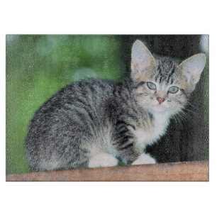Planche À Découper Kitten