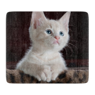 Planche À Découper Kitten blanc vulnérable