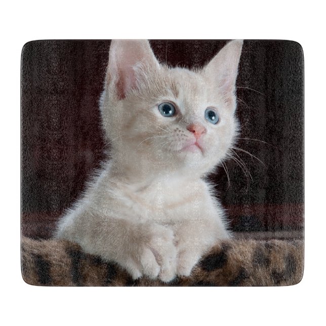 Planche À Découper Kitten blanc vulnérable (Devant)