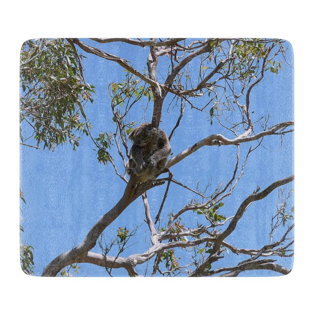 Planche À Découper Koala Nap (Devant)