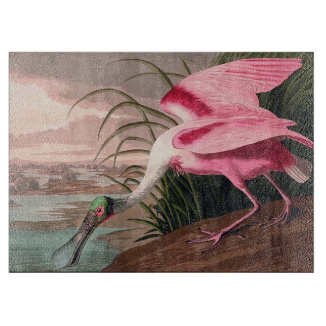 Planche À Découper La faune des oiseaux d'Audubon de Spoonbill Roseat (Devant)