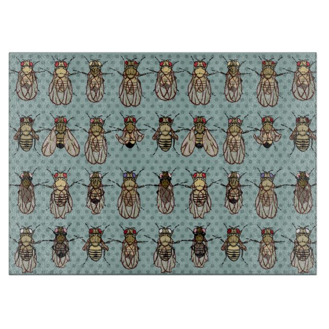 Planche À Découper La génétique de mouche à fruit de drosophile - (Devant)