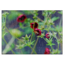 L'abeille à la fleur rouge