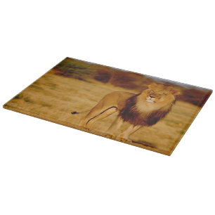 Planche À Découper L'Afrique, Namibie, Okonjima. Lion masculin