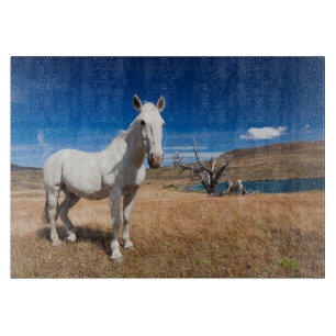 Planche À Découper Laguna Azul, paysage avec chevaux