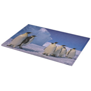 Planche À Découper L'Antarctique, territoire antarctique australien,