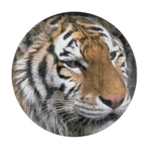 Planche À Découper L'art des amateurs de tigres