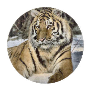 Planche À Découper L'art des amateurs de tigres
