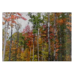 Planche À Découper L'automne dans la forêt Photographie d'automne col