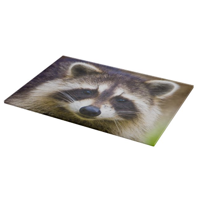Planche À Découper Le raton laveur, Procyon lotor (Coin)
