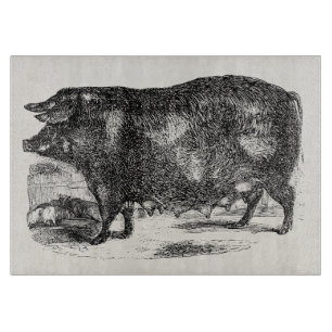 Planche À Découper Les porcelets domestiques vintages de porc ont