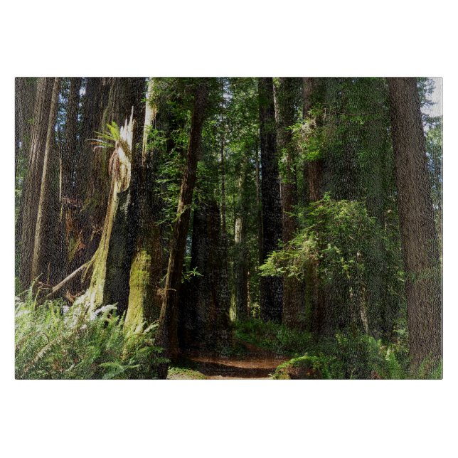 Planche À Découper Les séquoias et les fougères du parc national Redw (Devant)