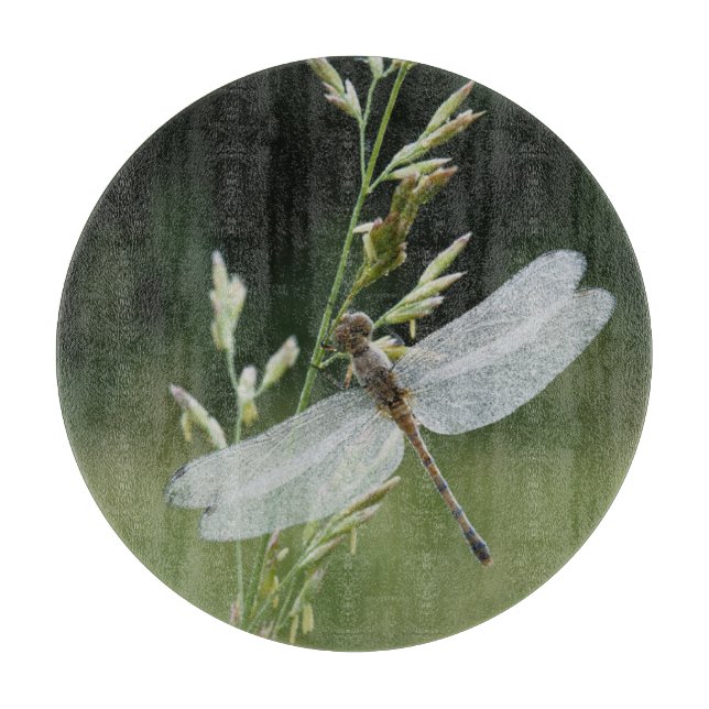 Planche À Découper Libellule Darner couverte de rosée (Devant)