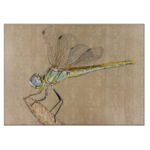 Planche À Découper Libellule Skimmer Femelle Insecte (CC BY 4.0) Cutt