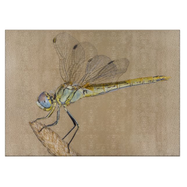 Planche À Découper Libellule Skimmer Femelle Insecte (CC BY 4.0) Cutt (Devant)