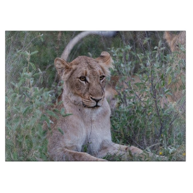 Planche À Découper Lionne Puissante – Moment de Faune (Devant)