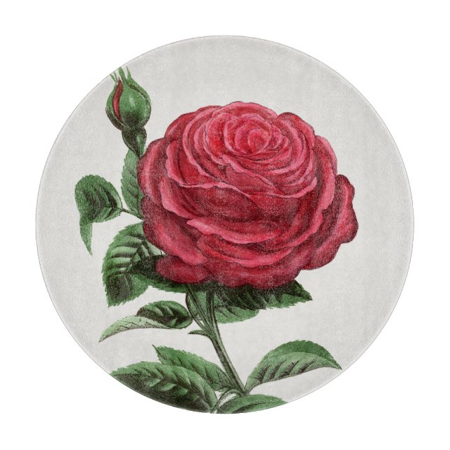 Planche À Découper Lithographie de rose antique, François-Frédéric Gr (Devant)