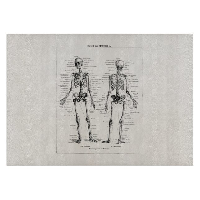 Planche À Découper L'os humain squelettique vintage d'anatomie (Devant)