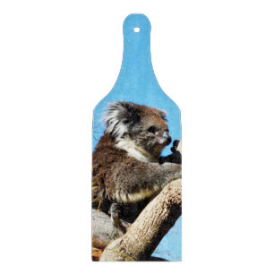 Planche À Découper L'Ours Koala Australien Dans Le Vieux Pin Arbre,
