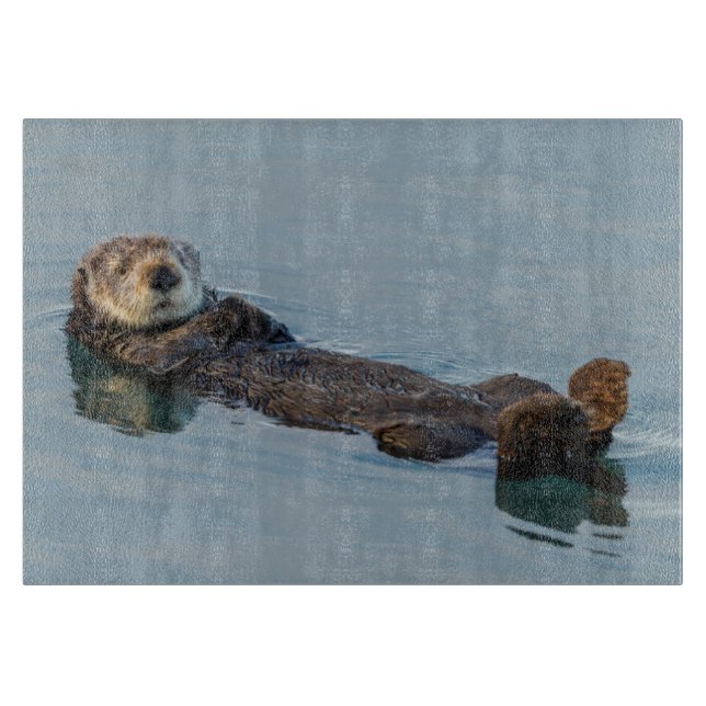 Planche À Découper Loutre de mer flottant sur le dos dans l'océan (Devant)