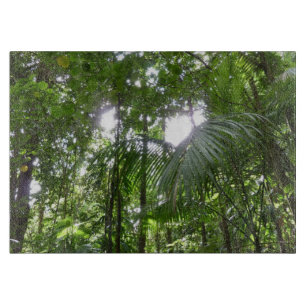 Planche À Découper Lumière du soleil à travers la canopée de la forêt