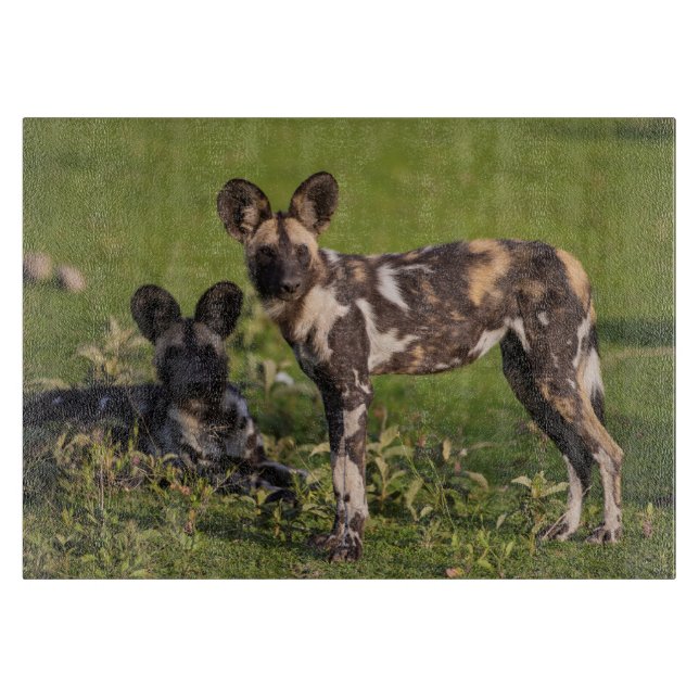 Planche À Découper Lycaons en Tanzanie (Devant)