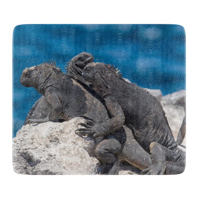 Planche À Découper Marine Iguana (Devant)