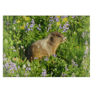 Planche À Découper Marmot dans le Mont Rainier Fleurs sauvages