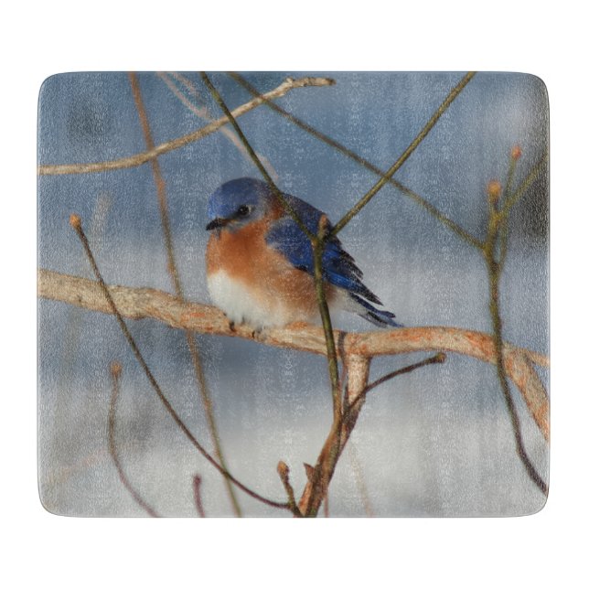 Planche À Découper Merlebleu d'hiver Nature  (Devant)