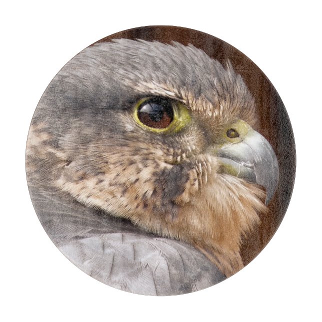 PLANCHE À DÉCOUPER MERLIN FALCON BIRD OF PREY (Devant)