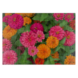 Planche À Découper Michigan, Dearborn, Greenfield Village. Fermer